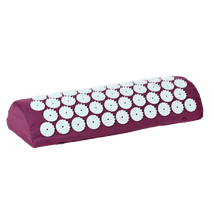 המוליך של קוזנצוב (גלגלת עיסוי)